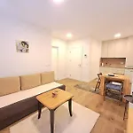 Pine Forest Magic Bjelašnica