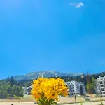 Pine Forest Magic Apartman *