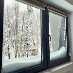 Pine Forest Magic Bjelašnica