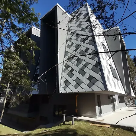 Pine Forest Magic Apartment *