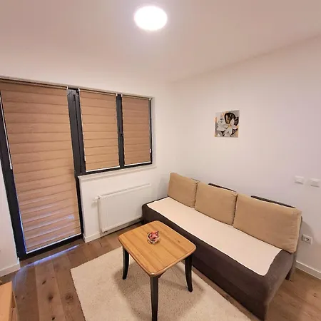 Pine Forest Magic * بيلاسنيكا