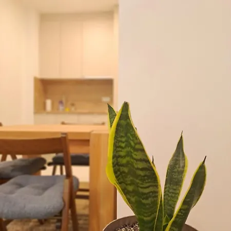 Apartment Pine Forest Magic