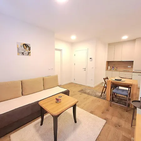 Pine Forest Magic بيلاسنيكا