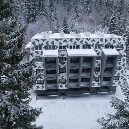 Pine Forest Magic Apartment