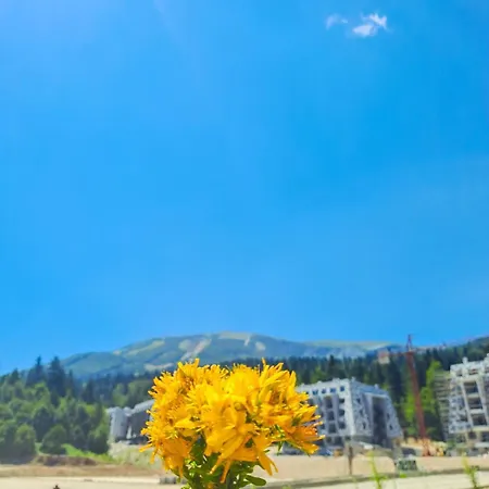 Pine Forest Magic شقة *