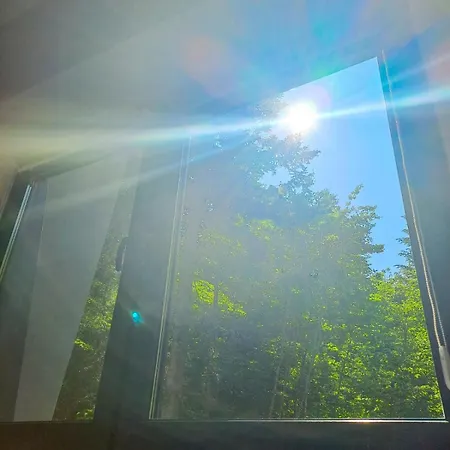 Apartment Pine Forest Magic *