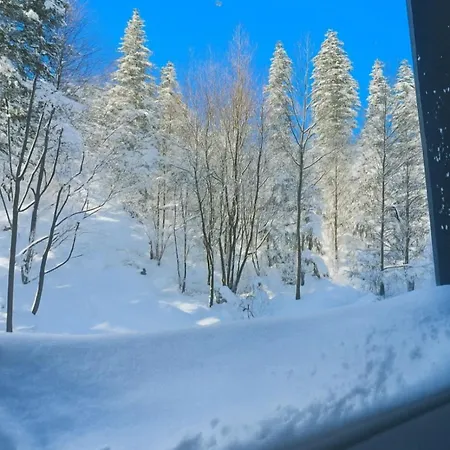 Pine Forest Magic *