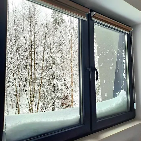 Pine Forest Magic بيلاسنيكا