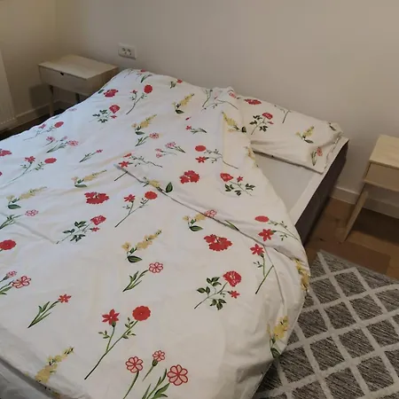 Pine Forest Magic Apartment