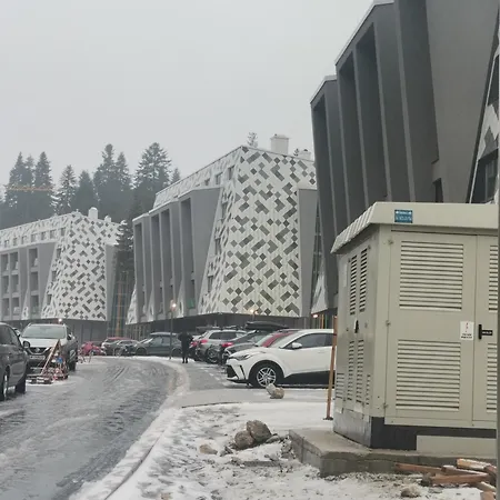 Pine Forest Magic * Bjelašnica