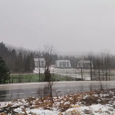 Pine Forest Magic דירה *