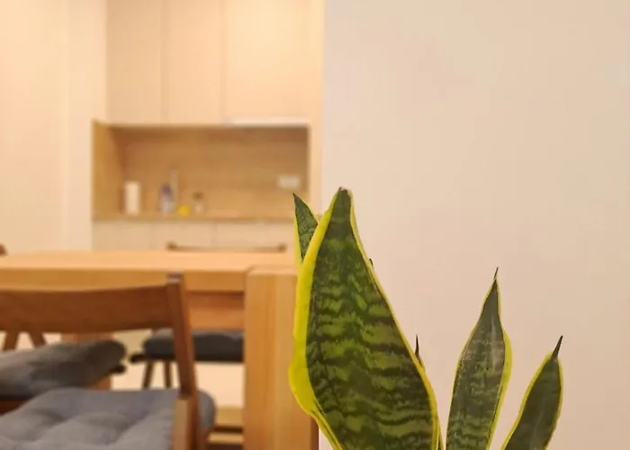 Apartment Pine Forest Magic