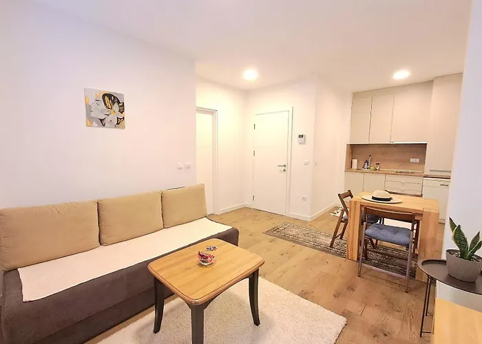 Pine Forest Magic Bjelasnica