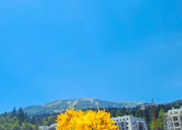 Pine Forest Magic Apartment *