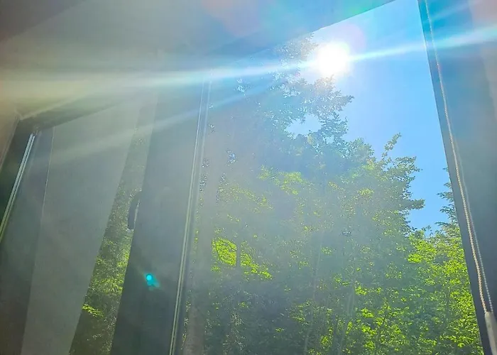 Apartment Pine Forest Magic *