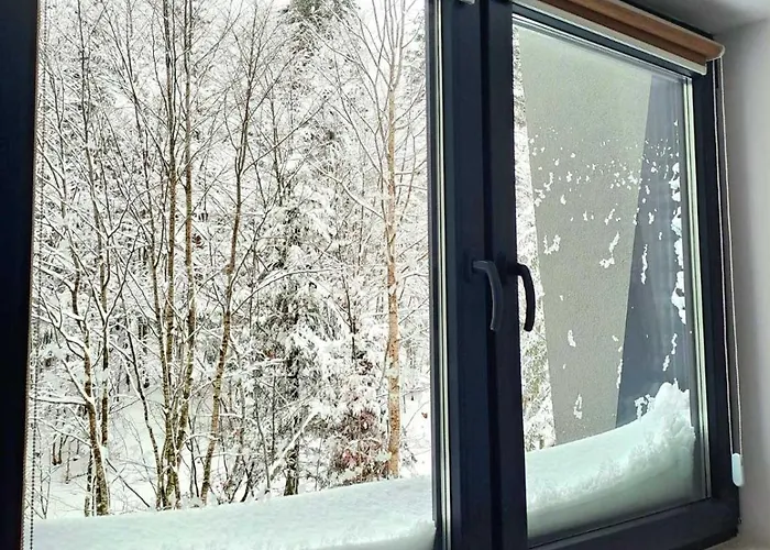 Pine Forest Magic Bjelasnica