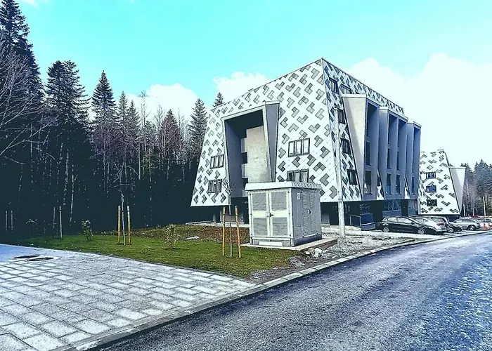 Apartment Pine Forest Magic